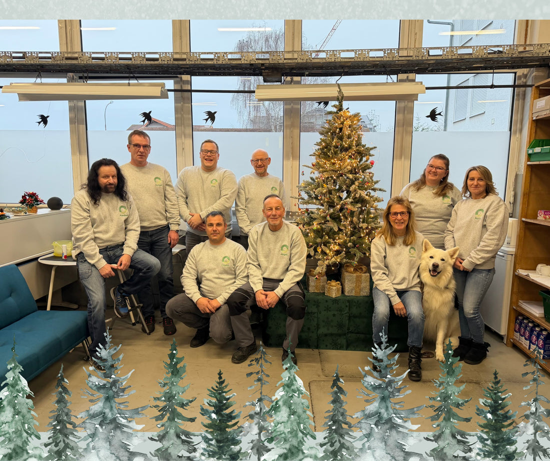 Ein Blick hinter die Kulissen: Unser neues Teamfoto