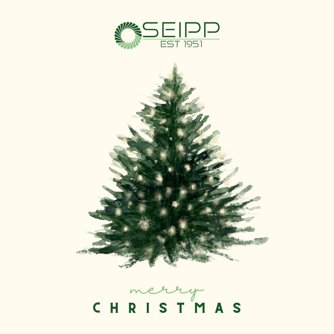 Voller Energie ins neue Jahr – Frohe Weihnachten wünscht das Team von Seipp