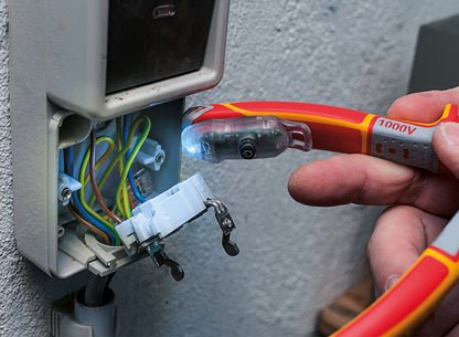 Felo E-Detector